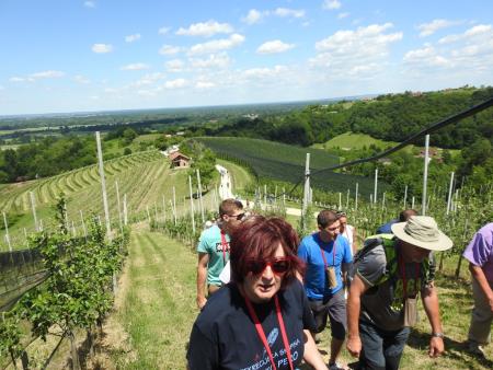 Pomlad v prleških goricah 2017 120